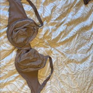 Elomi plum colored bra